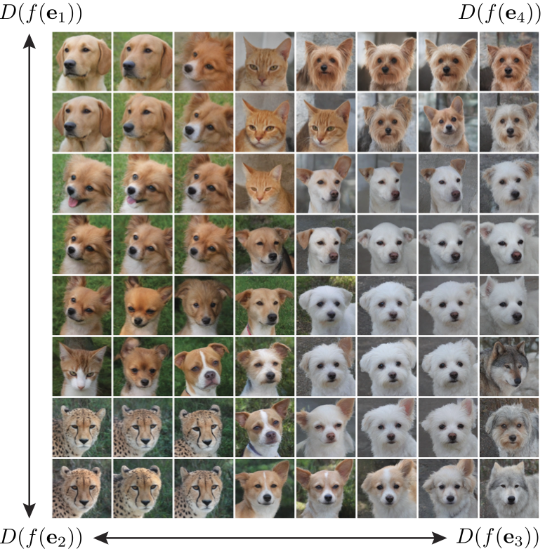 latent interpolation animal faces