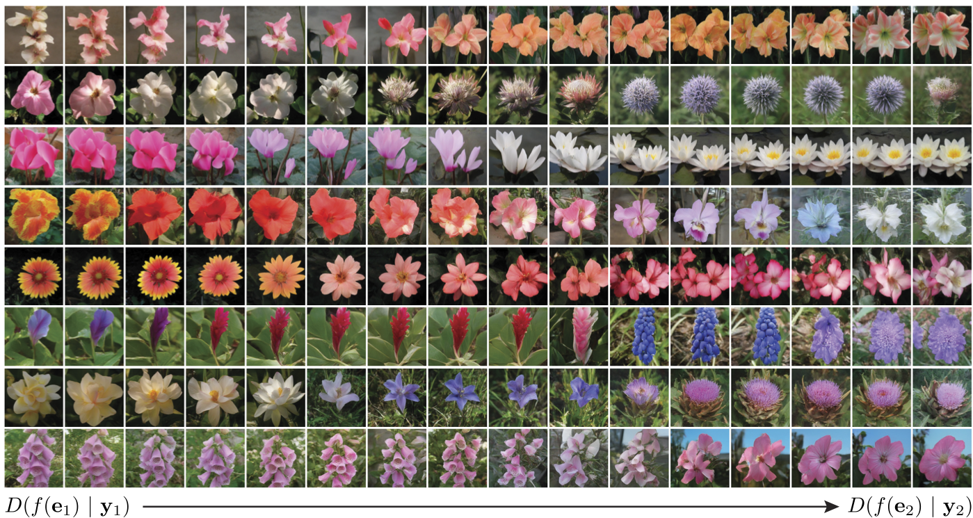 latent interpolation flowers