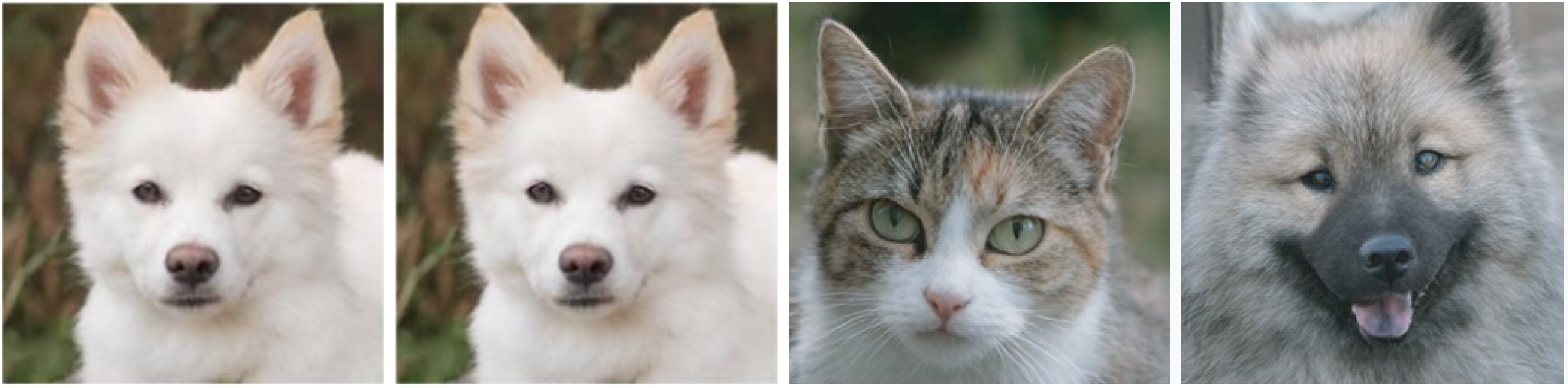 Sphere (Ours) Comparison